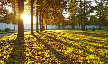 Осеннее утро в санатории им. М.И. Калинина