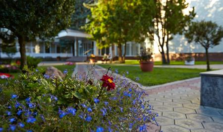 Клумбы в санатории им. М.И. Калинина