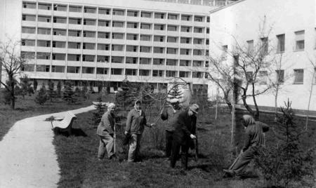 Закладка будущего парка санатория 1966 год